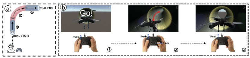 Exploring the Effects of Spatial Constraints and Curvature for 3D Piloting in Virtual Environments 